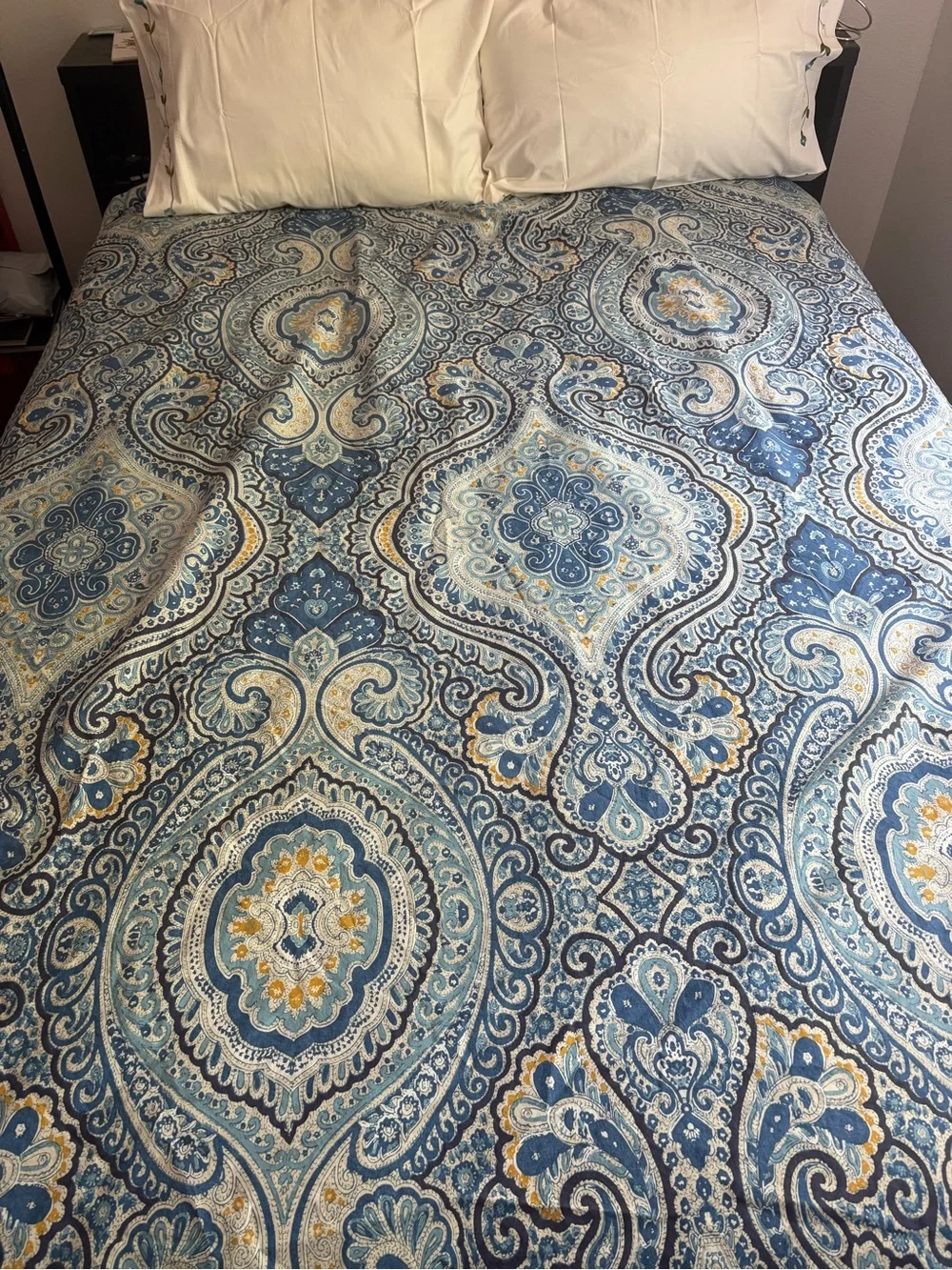 Pottery Barn Paisley Duvet Set with Vintage Hand-Embroidered Shams